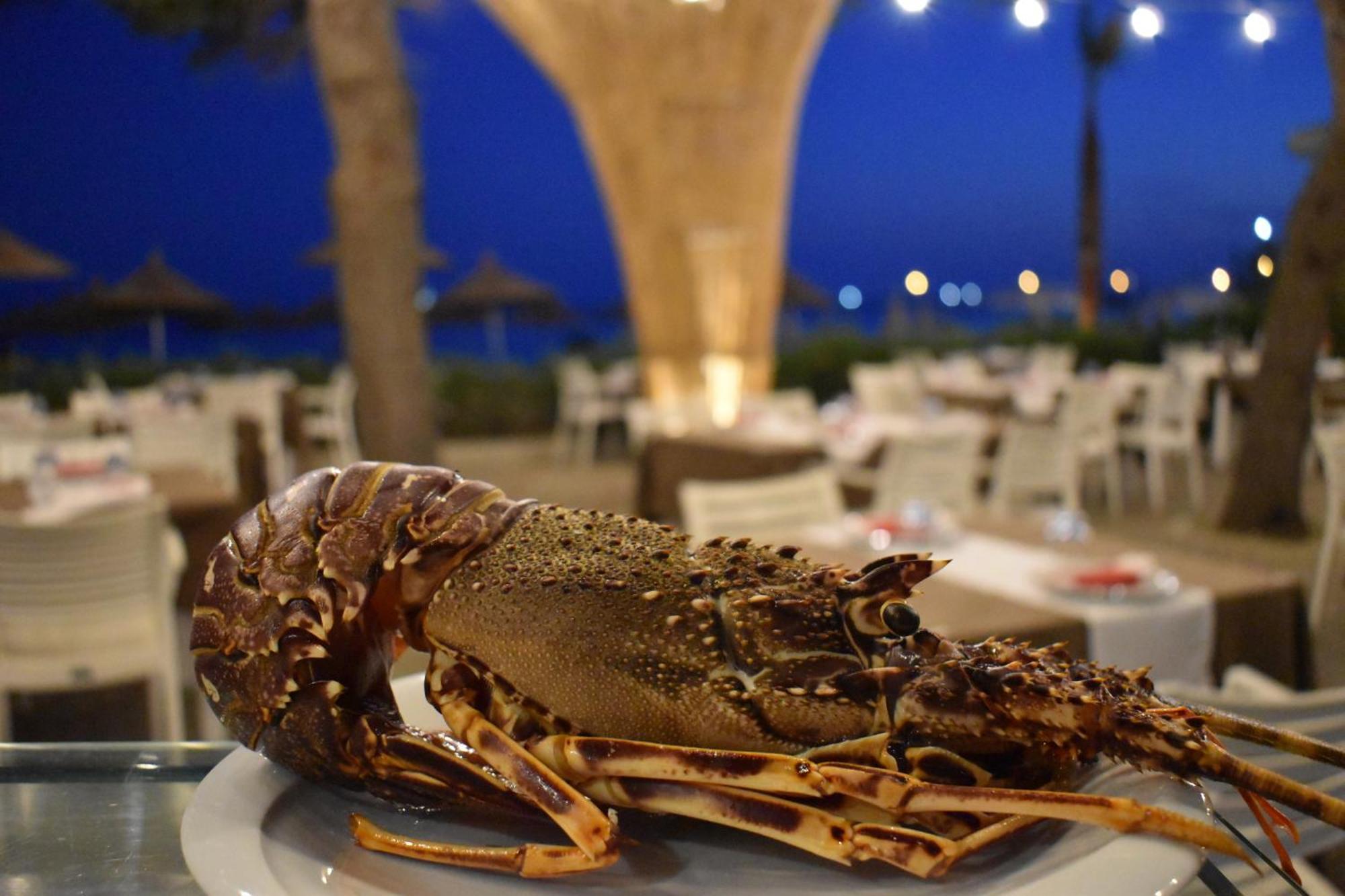 Cosmo Beach Hotel Δυρράχιο Εξωτερικό φωτογραφία